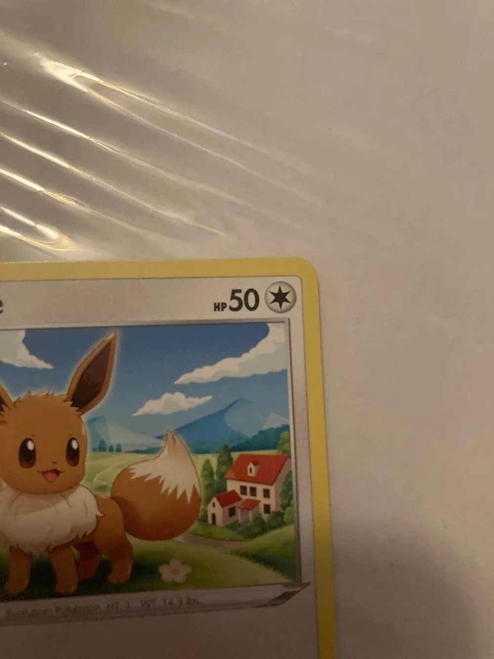 Pokemon Eevee Trading Card Yellow Border Blue Sky Artwork